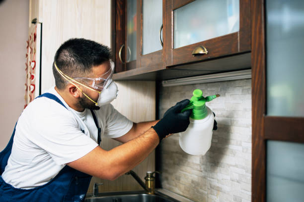 Best Cockroach Control Services  in Minneola, FL