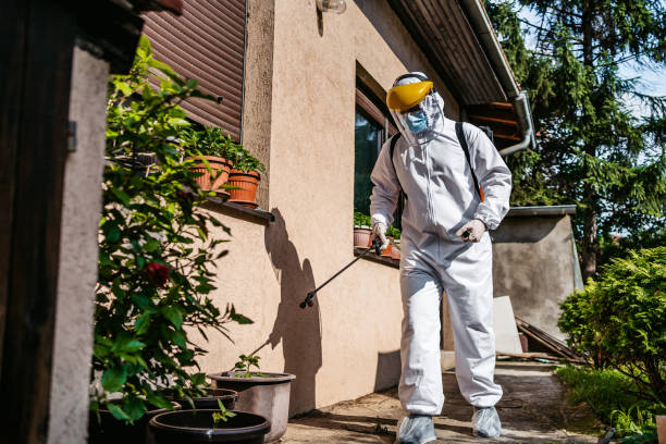 Pest Prevention Services in Minneola, FL