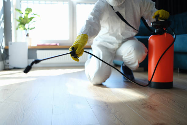 Professional Pest Control in Minneola, FL