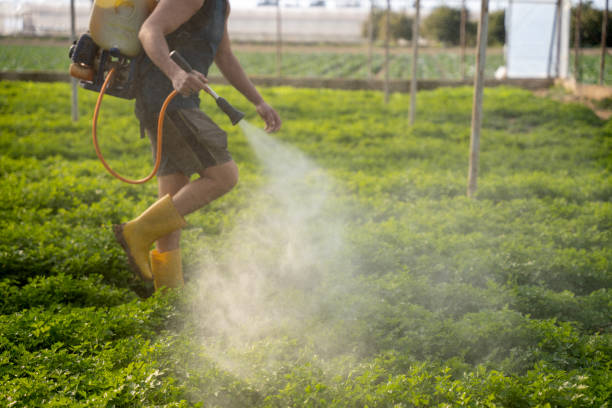 Best Best Pest Control Companies  in Minneola, FL