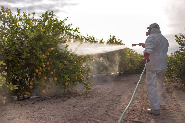 Pest Control Cost in Minneola, FL