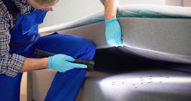 Best Flea Control Services  in Minneola, FL