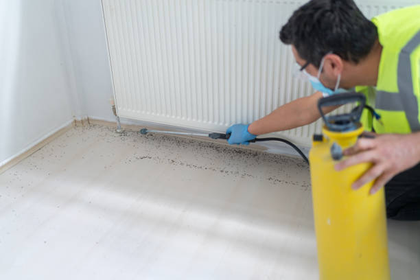 Best Bed Bug Extermination  in Minneola, FL