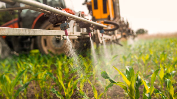 Best Commercial Pest Control Services  in Minneola, FL