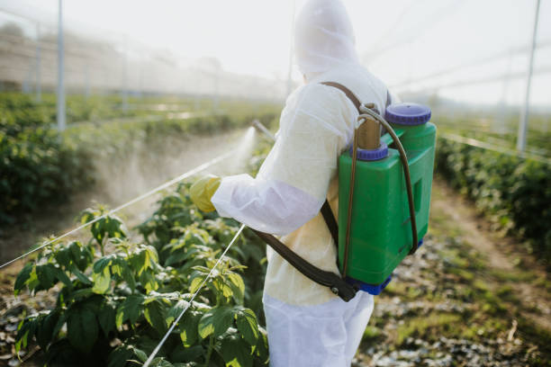 Best Emergency Pest Control  in Minneola, FL